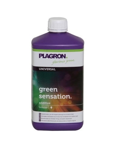 Green Sensation 100 ml