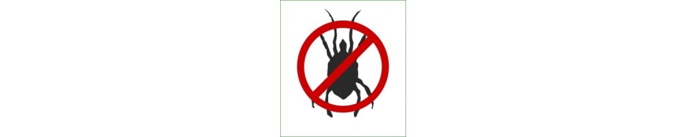 Böcek / Pest Kontrol